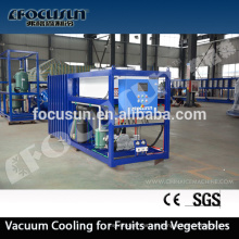 HIGHLY IMPROVED TECHNOLOGY VACUUM PRE COOLING MACHINE FOR FRESH FISH MEAT VEGETABLE FRUIT